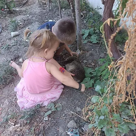 Luxe tent Princ Tents