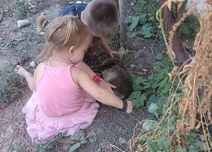 럭셔리텐트 Princ Tents